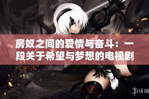 房奴之间的爱情与奋斗：一段关于希望与梦想的电视剧旅程