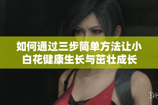 如何通过三步简单方法让小白花健康生长与茁壮成长