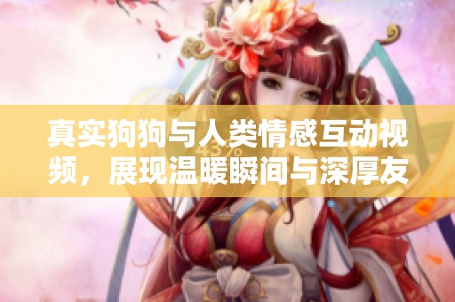 真实狗狗与人类情感互动视频，展现温暖瞬间与深厚友谊