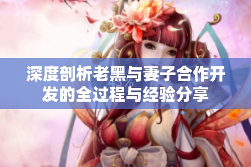 深度剖析老黑与妻子合作开发的全过程与经验分享