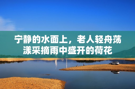 宁静的水面上，老人轻舟荡漾采摘雨中盛开的荷花