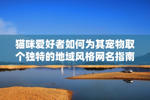 猫咪爱好者如何为其宠物取个独特的地域风格网名指南
