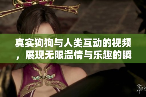 真实狗狗与人类互动的视频，展现无限温情与乐趣的瞬间