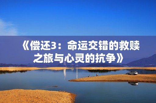 《偿还3：命运交错的救赎之旅与心灵的抗争》