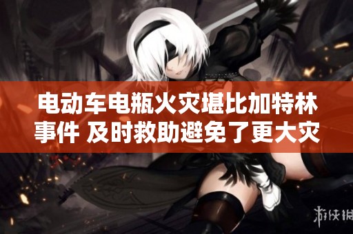 电动车电瓶火灾堪比加特林事件 及时救助避免了更大灾难