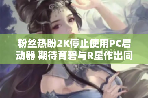 粉丝热盼2K停止使用PC启动器 期待育碧与R星作出同样改变