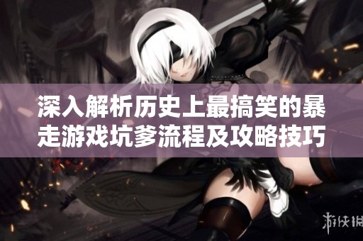 深入解析历史上最搞笑的暴走游戏坑爹流程及攻略技巧