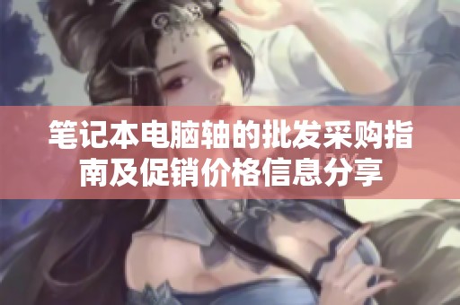 笔记本电脑轴的批发采购指南及促销价格信息分享