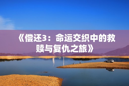 《偿还3：命运交织中的救赎与复仇之旅》