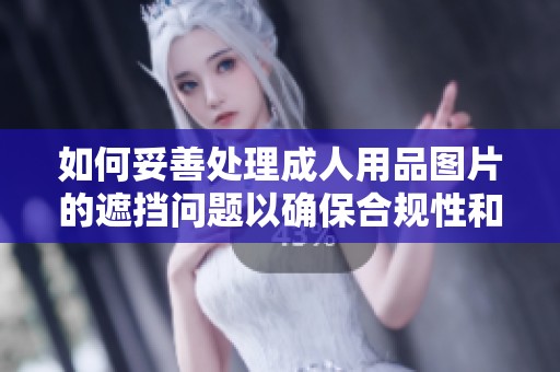 如何妥善处理成人用品图片的遮挡问题以确保合规性和审美效果