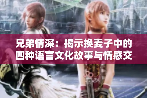兄弟情深：揭示换麦子中的四种语言文化故事与情感交织