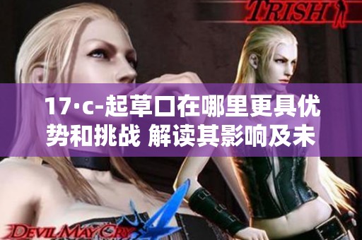17·c-起草口在哪里更具优势和挑战 解读其影响及未来发展方向