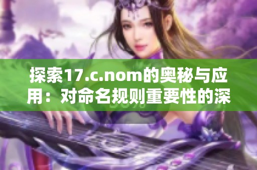 探索17.c.nom的奥秘与应用：对命名规则重要性的深入分析与实践指导