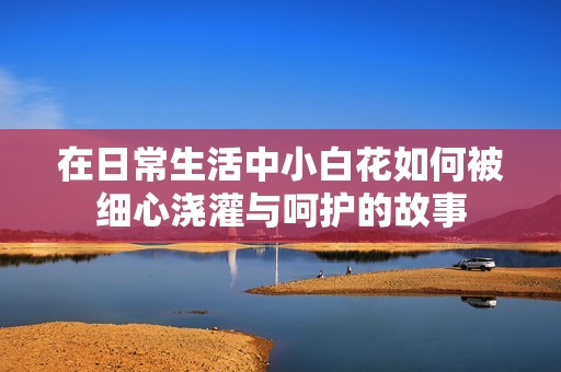 在日常生活中小白花如何被细心浇灌与呵护的故事