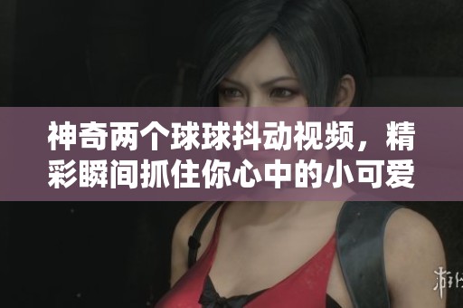 神奇两个球球抖动视频，精彩瞬间抓住你心中的小可爱