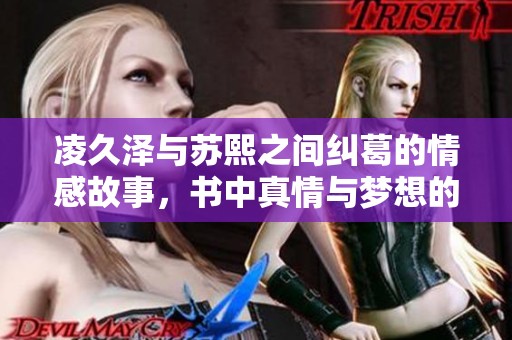凌久泽与苏熙之间纠葛的情感故事，书中真情与梦想的交织