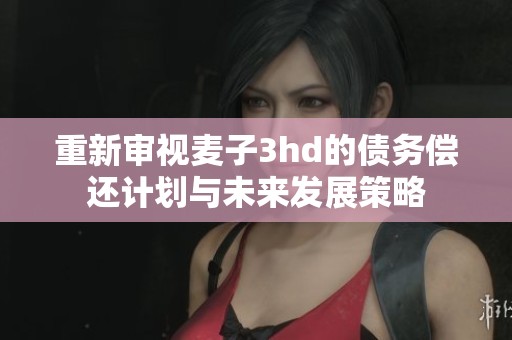 重新审视麦子3hd的债务偿还计划与未来发展策略