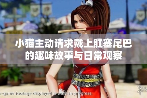 小猫主动请求戴上肛塞尾巴的趣味故事与日常观察