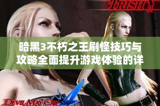 暗黑3不朽之王刷怪技巧与攻略全面提升游戏体验的详细解析