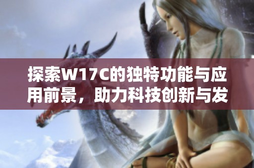探索W17C的独特功能与应用前景，助力科技创新与发展