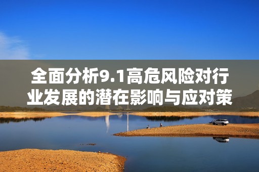全面分析9.1高危风险对行业发展的潜在影响与应对策略