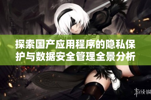 探索国产应用程序的隐私保护与数据安全管理全景分析