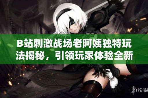 B站刺激战场老阿姨独特玩法揭秘，引领玩家体验全新乐趣与策略挑战