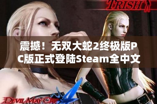 震撼！无双大蛇2终极版PC版正式登陆Steam全中文界面开启新篇章
