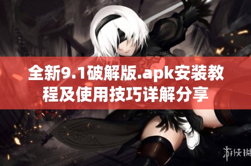 全新9.1破解版.apk安装教程及使用技巧详解分享