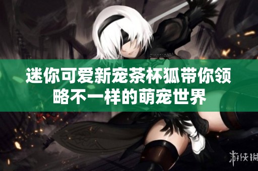 迷你可爱新宠茶杯狐带你领略不一样的萌宠世界