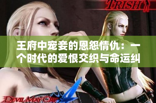 王府中宠妾的恩怨情仇：一个时代的爱恨交织与命运纠葛