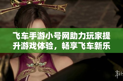 飞车手游小号网助力玩家提升游戏体验，畅享飞车新乐趣