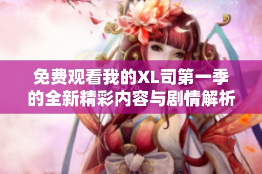 免费观看我的XL司第一季的全新精彩内容与剧情解析