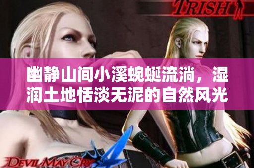 幽静山间小溪蜿蜒流淌，湿润土地恬淡无泥的自然风光
