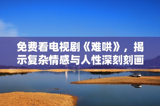 免费看电视剧《难哄》，揭示复杂情感与人性深刻刻画
