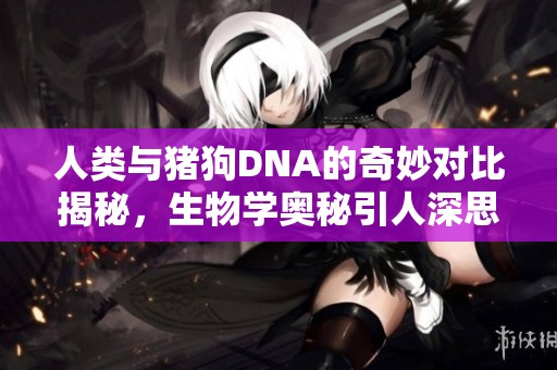 人类与猪狗DNA的奇妙对比揭秘，生物学奥秘引人深思