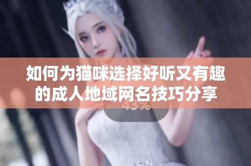 如何为猫咪选择好听又有趣的成人地域网名技巧分享