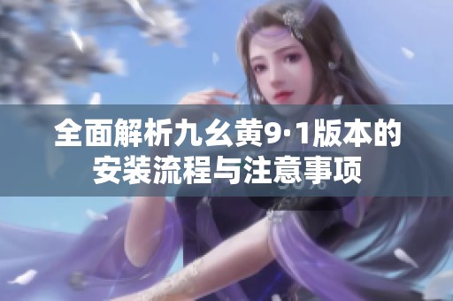 全面解析九幺黄9·1版本的安装流程与注意事项