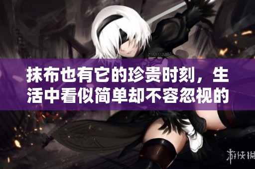 抹布也有它的珍贵时刻，生活中看似简单却不容忽视的美丽变身