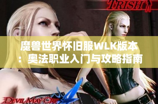 魔兽世界怀旧服WLK版本：奥法职业入门与攻略指南