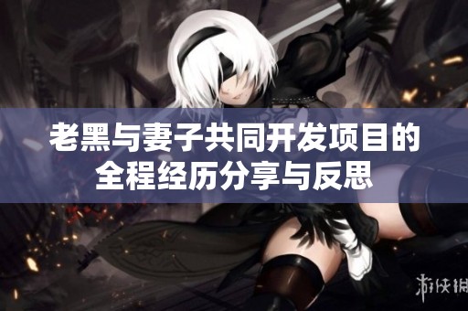 老黑与妻子共同开发项目的全程经历分享与反思