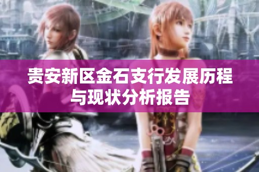 贵安新区金石支行发展历程与现状分析报告