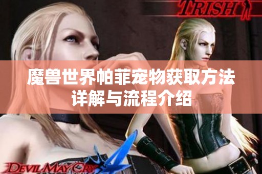 魔兽世界帕菲宠物获取方法详解与流程介绍