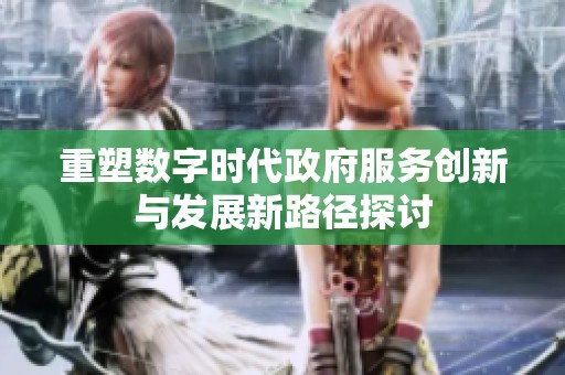 重塑数字时代政府服务创新与发展新路径探讨