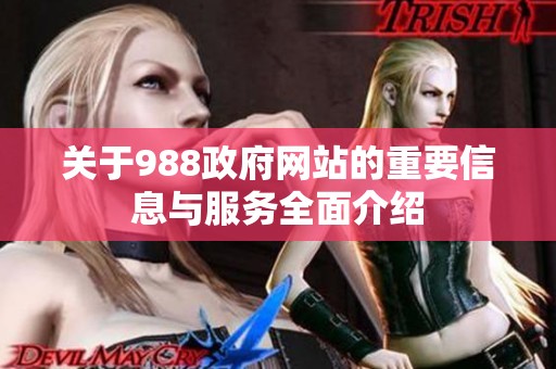 关于988政府网站的重要信息与服务全面介绍