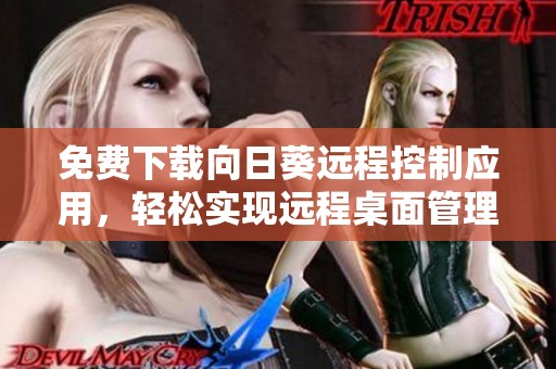 免费下载向日葵远程控制应用，轻松实现远程桌面管理与协作