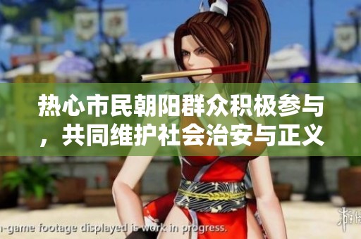 热心市民朝阳群众积极参与，共同维护社会治安与正义！