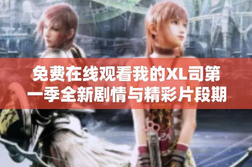免费在线观看我的XL司第一季全新剧情与精彩片段期待你的加入