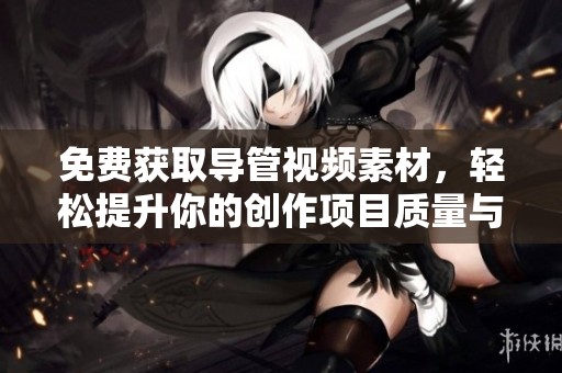 免费获取导管视频素材，轻松提升你的创作项目质量与表现力