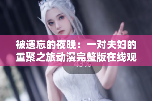 被遗忘的夜晚：一对夫妇的重聚之旅动漫完整版在线观看